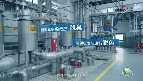 央視網(wǎng)走進(jìn)多力安心工廠 探尋降低油煙技術(shù)專利的奧秘