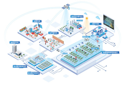 智慧大腦賦能植物工廠 大數據技術引領現代農業新變革